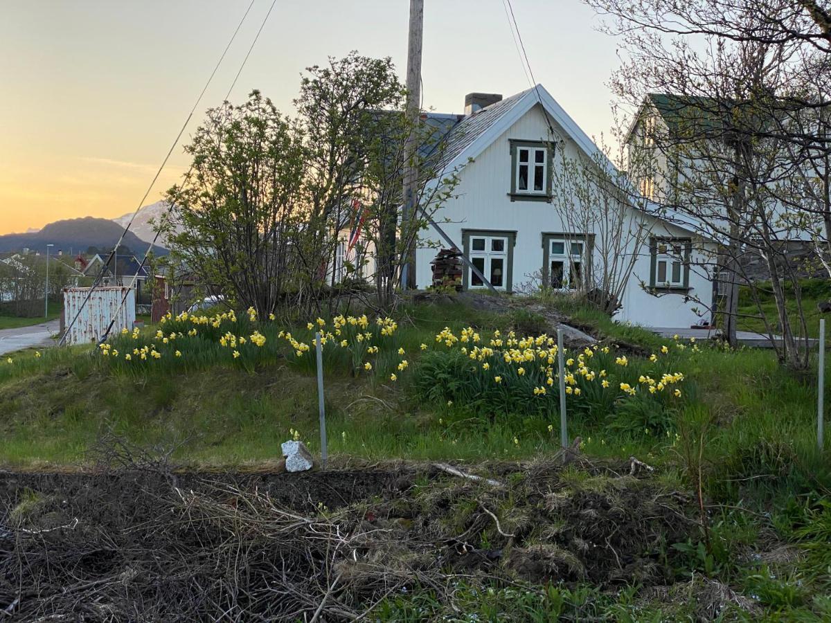 Nordlandshuset "Lottebakken", Ballstad In Lofoten Exterior foto